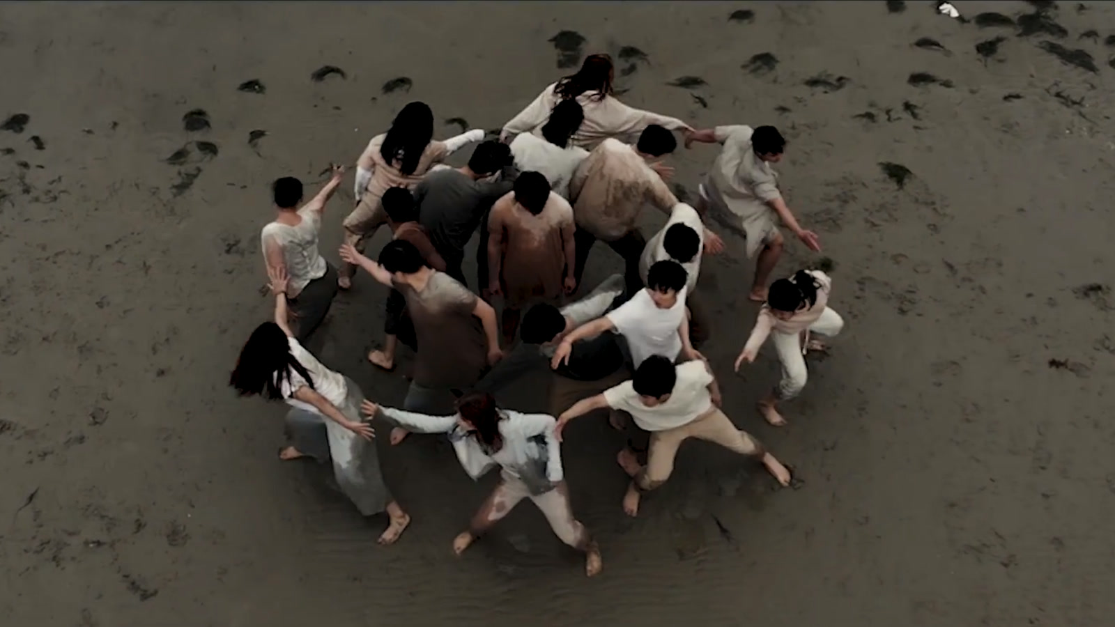 The One More Light ensemble forming a circle on the shoreline, seen from above